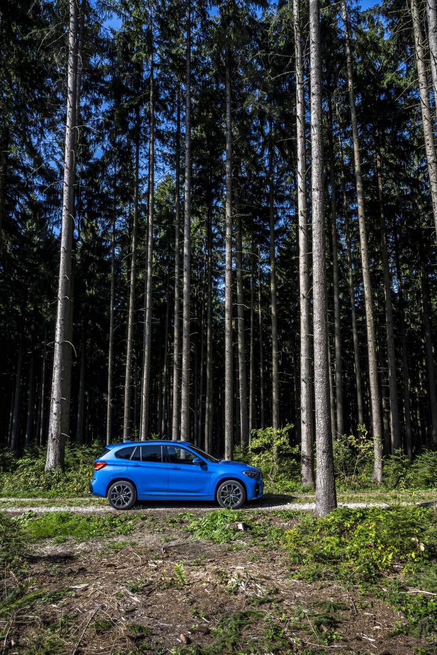  BMW X1 xDrive25i M Sport (F48) 2019 года  (WW) (фото 49 из 112)